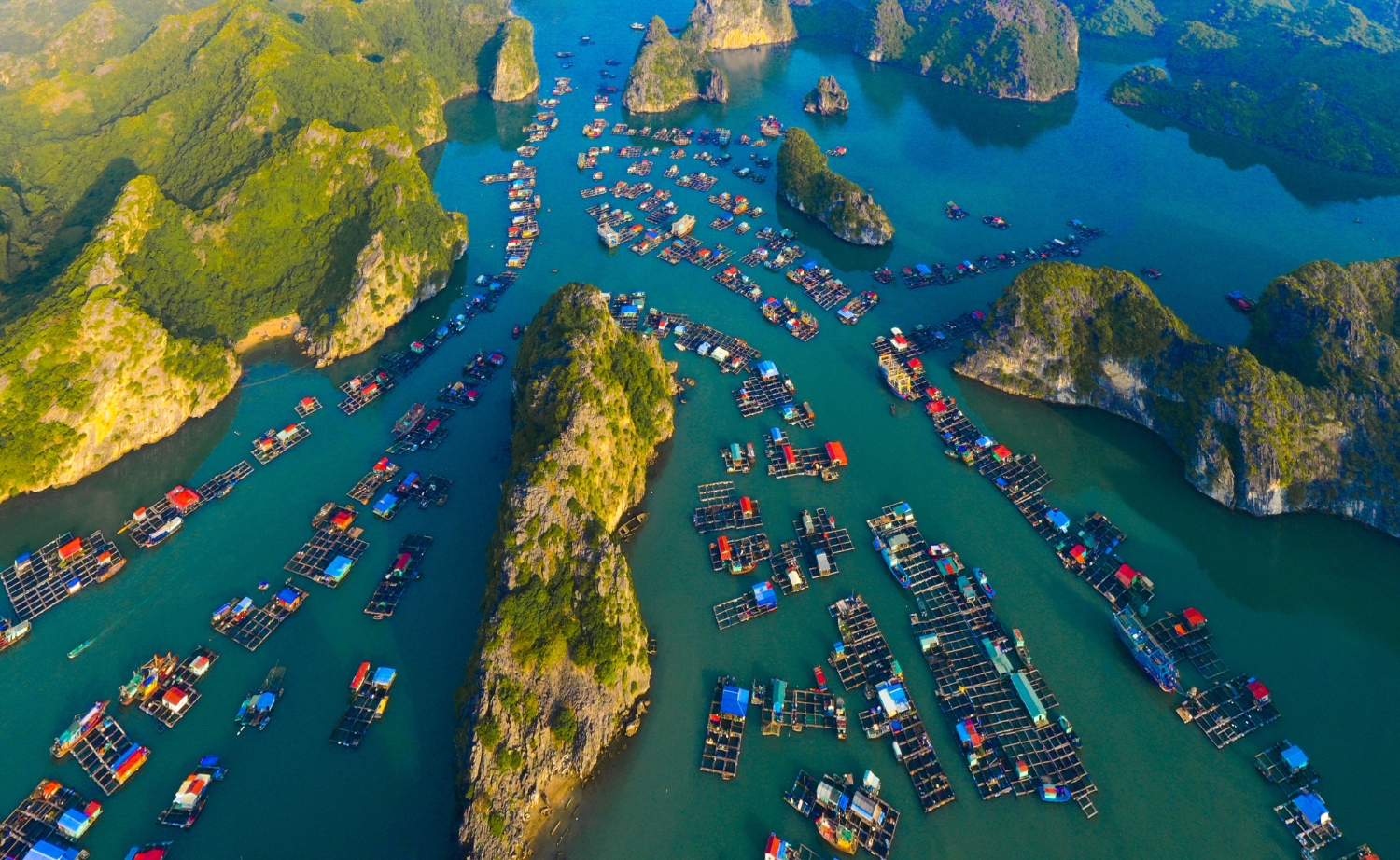 vai trò của đường thủy 