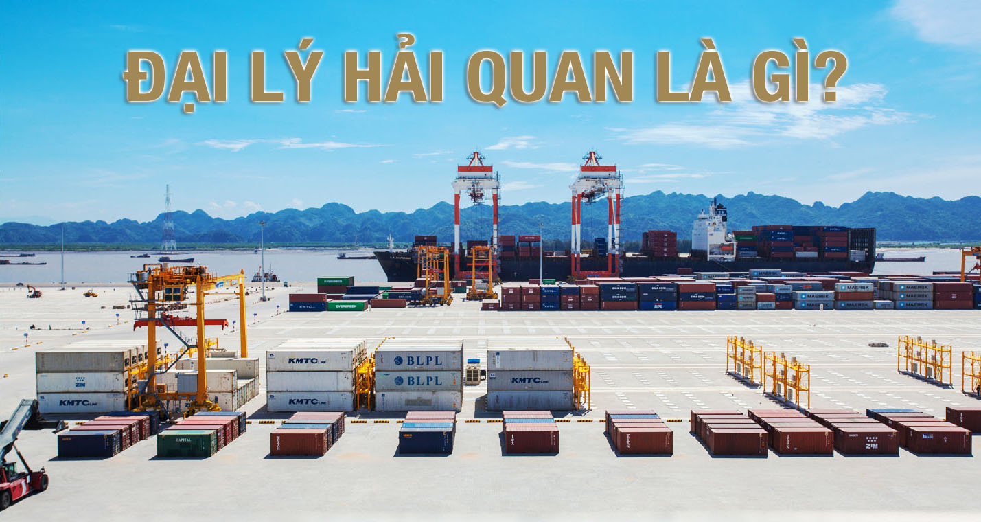 Đại lý khai báo hải quan là gì  